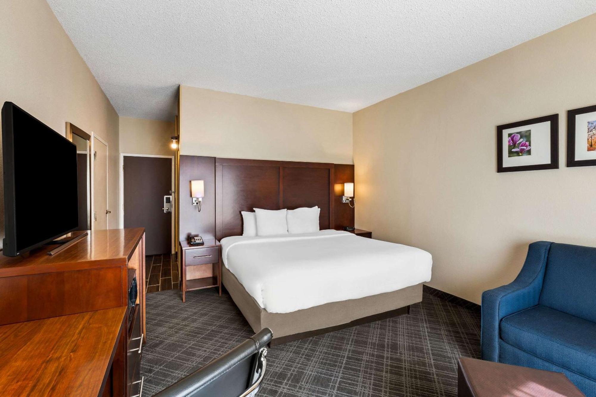 Comfort Inn Roswell-Dunwoody Buitenkant foto